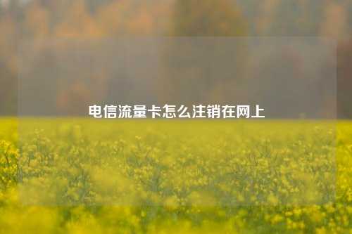电信流量卡怎么注销在网上  第1张