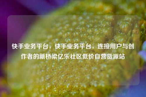 快手业务平台	，快手业务平台，连接用户与创作者的新桥梁亿乐社区低价自营货源站  第1张