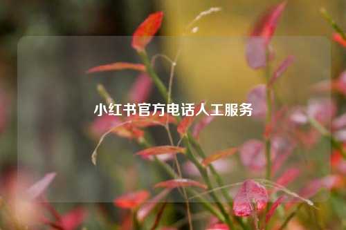 小红书官方电话人工服务  第1张