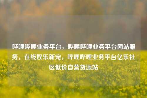 哔哩哔哩业务平台	，哔哩哔哩业务平台网站服务，在线娱乐新宠，哔哩哔哩业务平台亿乐社区低价自营货源站  第1张
