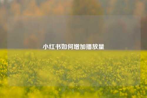 小红书如何增加播放量  第1张