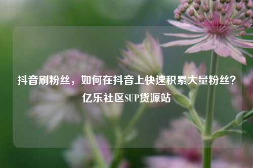 抖音刷粉丝，如何在抖音上快速积累大量粉丝？亿乐社区SUP货源站  第1张
