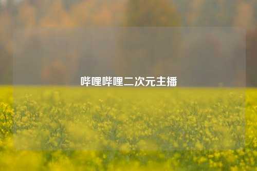 哔哩哔哩二次元主播  第1张