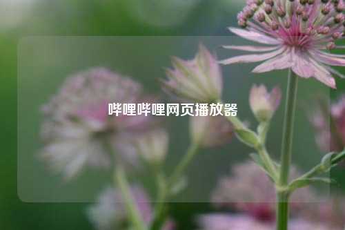 哔哩哔哩网页播放器  第1张