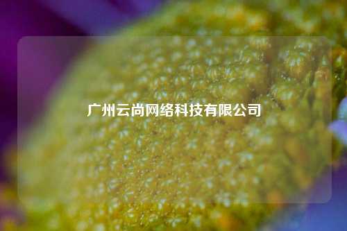 广州云尚网络科技有限公司  第1张