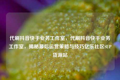 代刷抖音快手业务工作室，代刷抖音快手业务工作室，揭秘幕后运营策略与技巧亿乐社区SUP货源站  第1张