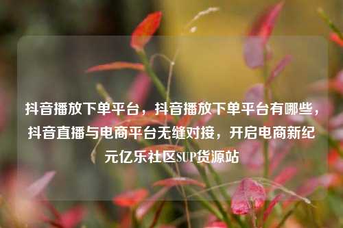 抖音播放下单平台，抖音播放下单平台有哪些，抖音直播与电商平台无缝对接，开启电商新纪元亿乐社区SUP货源站  第1张