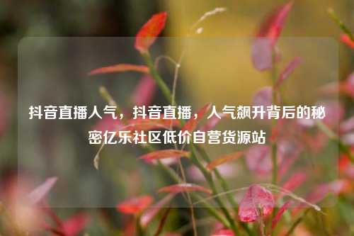 抖音直播人气，抖音直播，人气飙升背后的秘密亿乐社区低价自营货源站  第1张