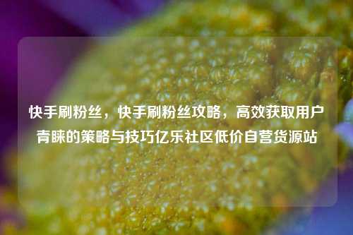 快手刷粉丝，快手刷粉丝攻略，高效获取用户青睐的策略与技巧亿乐社区低价自营货源站  第1张