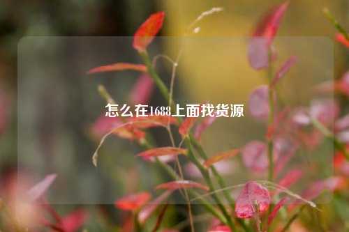 怎么在1688上面找货源  第1张