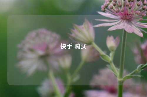 快手 购买  第1张
