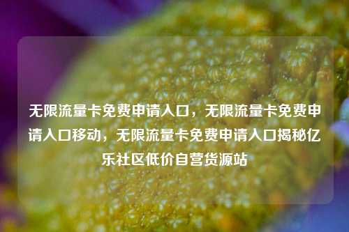 无限流量卡免费申请入口，无限流量卡免费申请入口移动，无限流量卡免费申请入口揭秘亿乐社区低价自营货源站  第1张