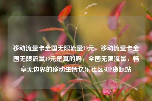 移动流量卡全国无限流量19元，移动流量卡全国无限流量19元是真的吗	，全国无限流量，畅享无边界的移动生活亿乐社区SUP货源站  第1张