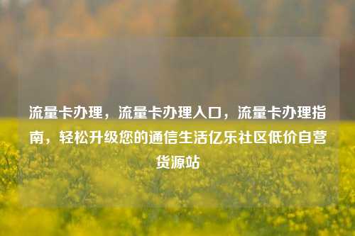 流量卡办理，流量卡办理入口，流量卡办理指南，轻松升级您的通信生活亿乐社区低价自营货源站  第1张