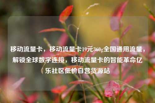 移动流量卡	，移动流量卡19元360g全国通用流量，解锁全球数字连接，移动流量卡的智能革命亿乐社区低价自营货源站  第1张